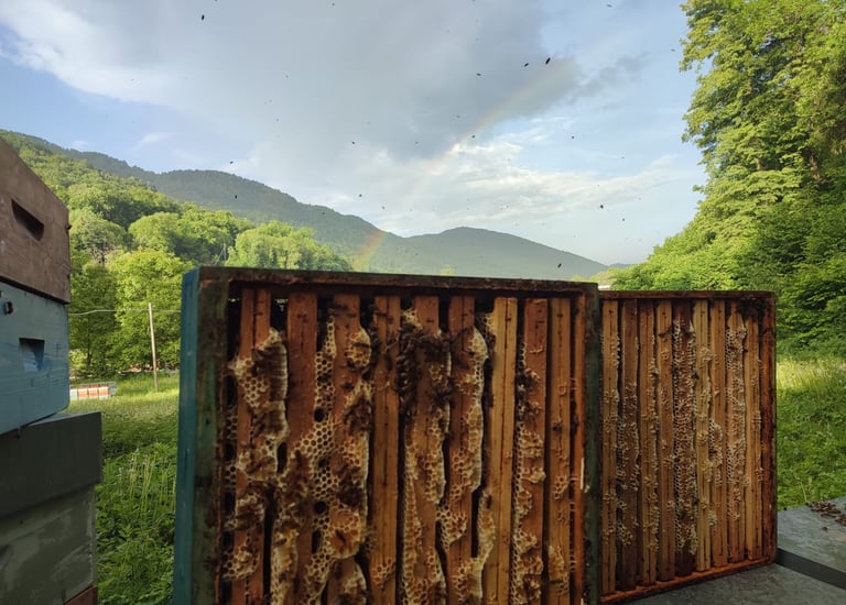 due melari messi in verticale con il favo che spunta tra i telaietti di legno, con arcobaleno dietro