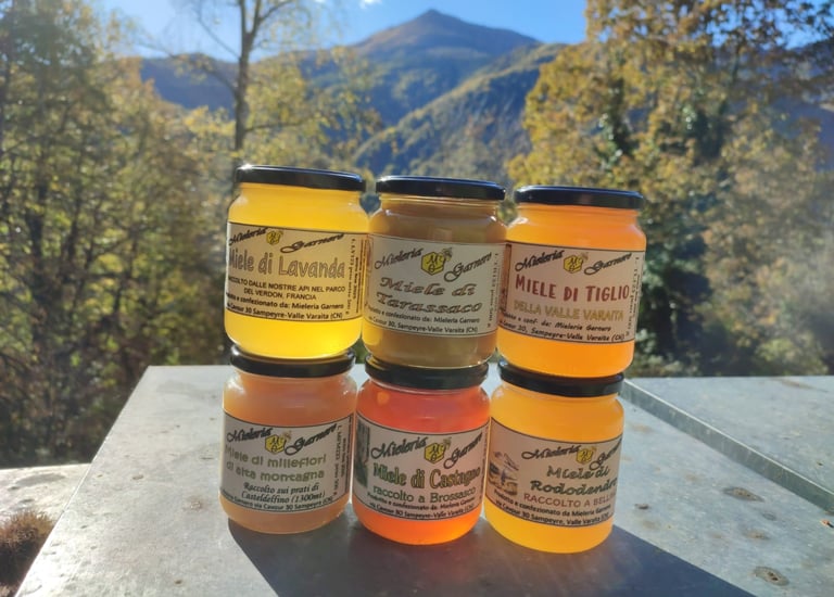 sei vasetti di miele  della Mieleria Garnero sul coperchio di un'arnia, con un bosco come sfondo