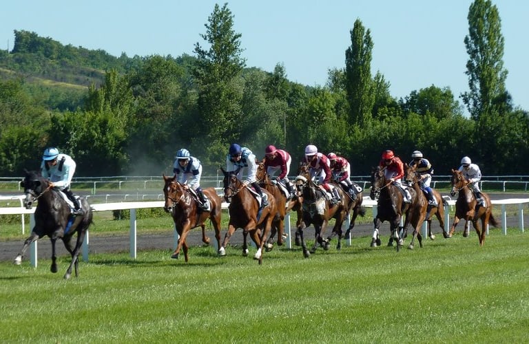 course hippique