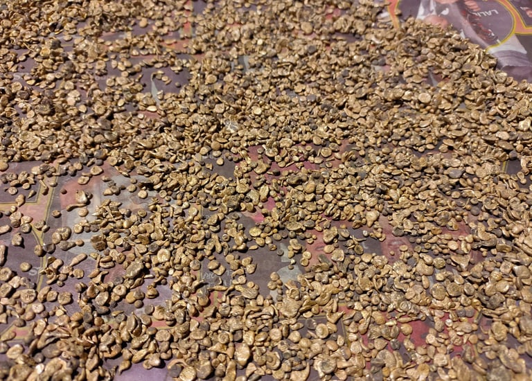 granalla bronce rosa
