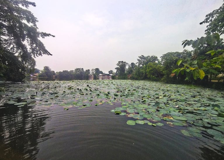 pond