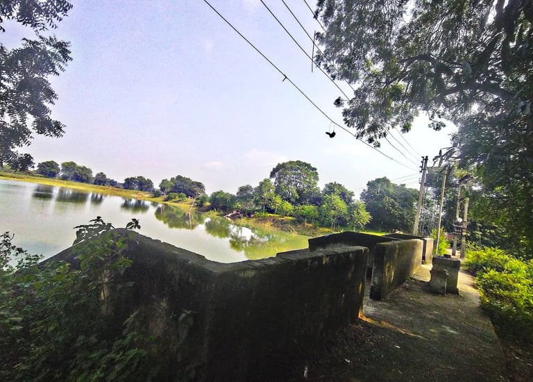 pond