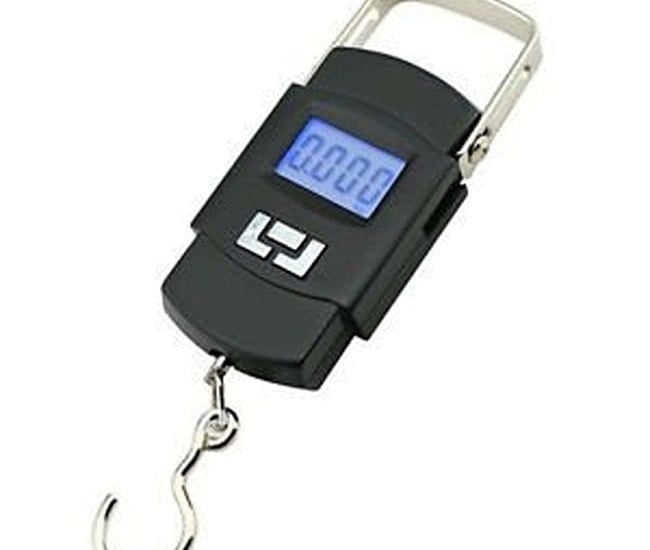 50 kg hanging scale 
