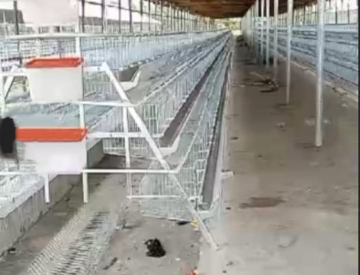 Battery cage