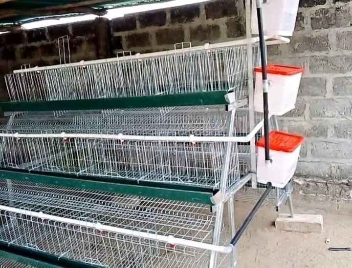 Battery cage