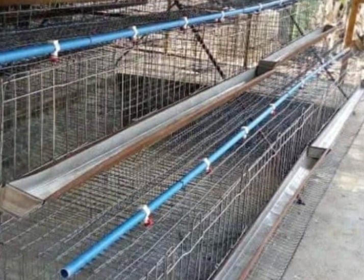 Battery cage