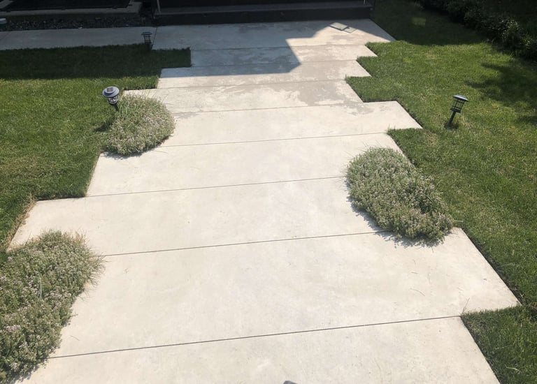 Clean Lawn Edging