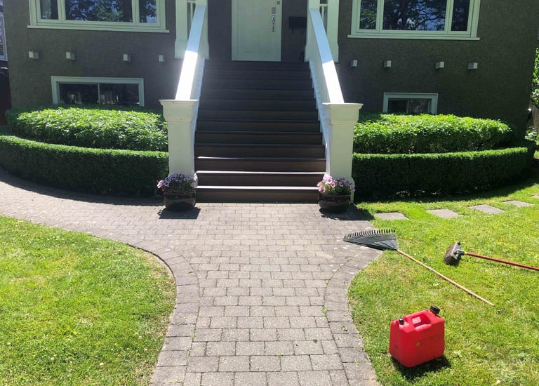BoxWood Hedges