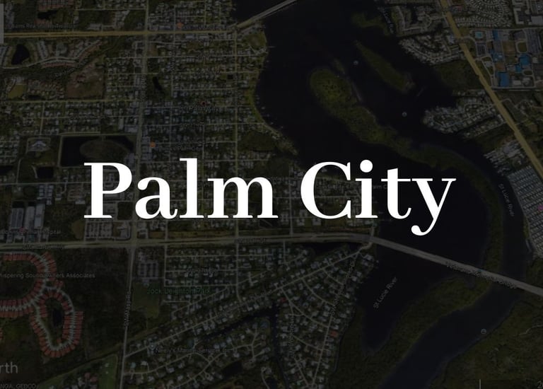 a map of the city of Palm City