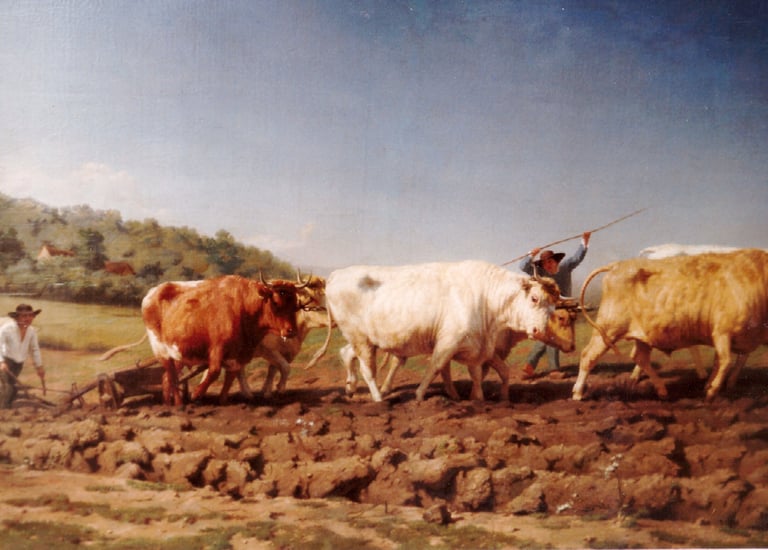 sybille ingold restauratrice tableau 2 après