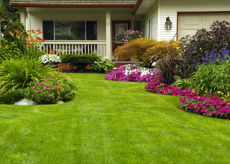 a house with a lawn and flowers in the front yard