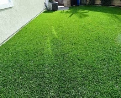 Natural lawn grass in Visakhapatnam
