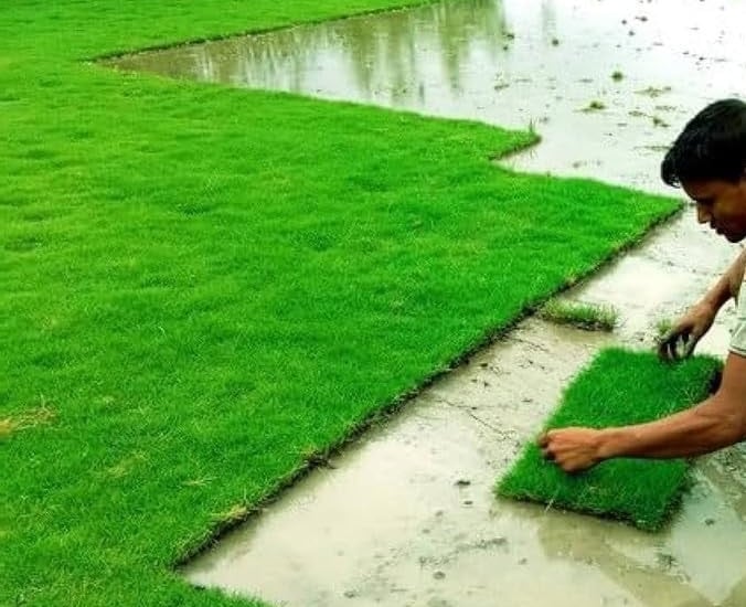 lawn grass installation in Hyderabad