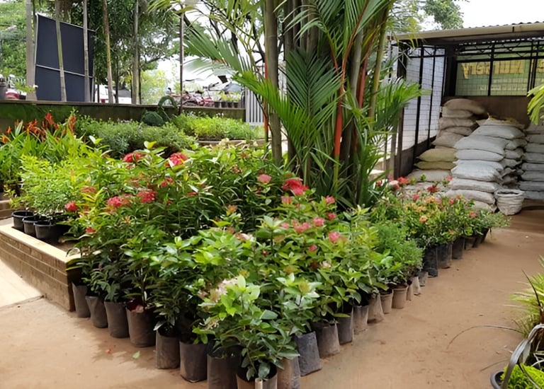 Nursery in Vijyawada