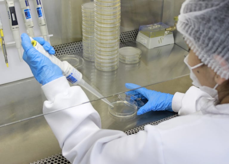 Profissional manipulando amostras de laboratório em bancada equipada