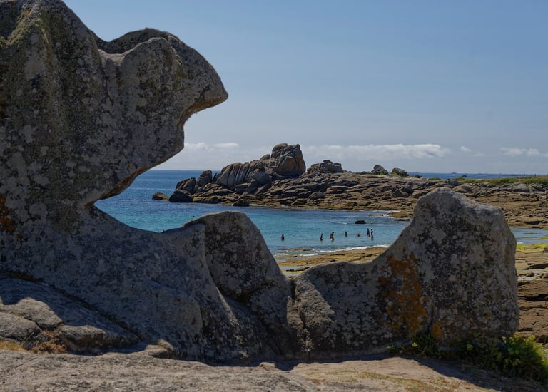 Vos photos de l'été