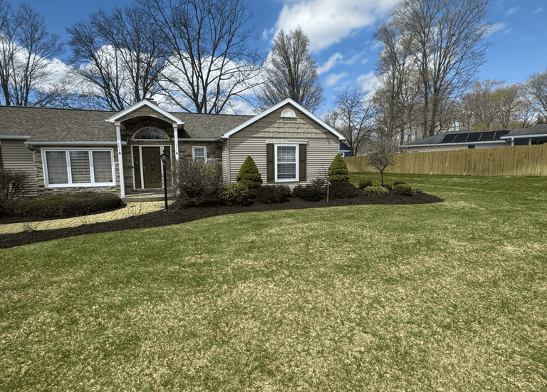 A freshly mulched garden bed