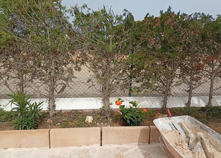 eliminación de malas hierbas