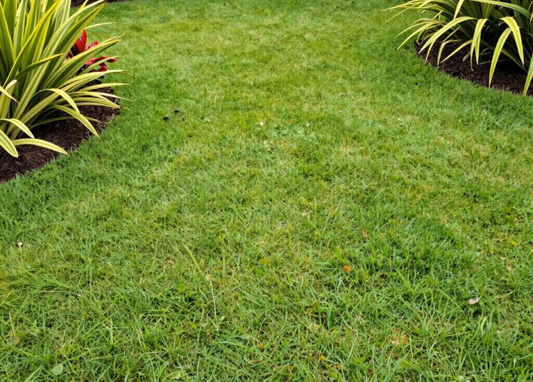 The same Barbados garden after a fresh trim and clean-up.