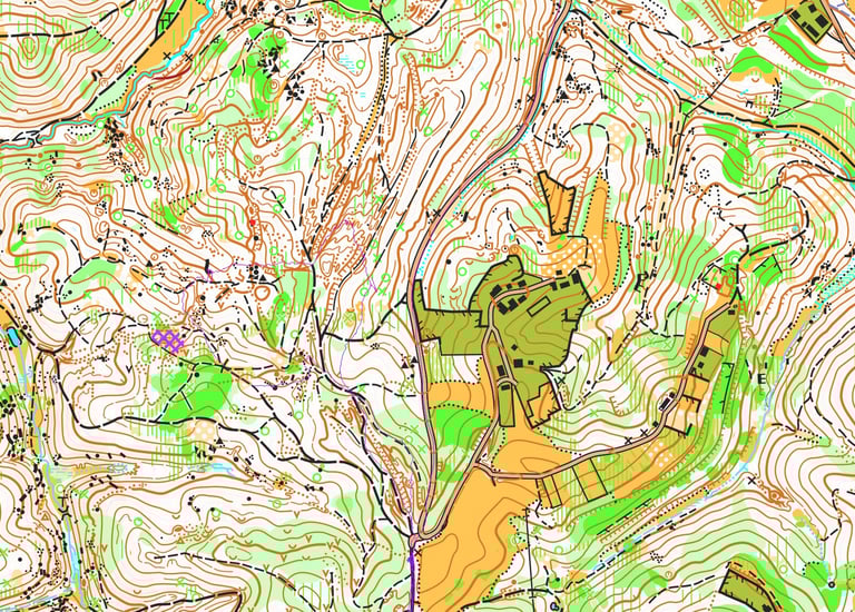 Šumske karte za orijentacijski sport
