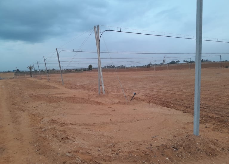 Poteaux d'irrigation RAIN