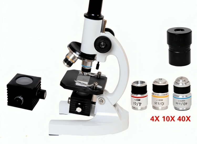800X High-Precision Student Digital Microscope 1633060