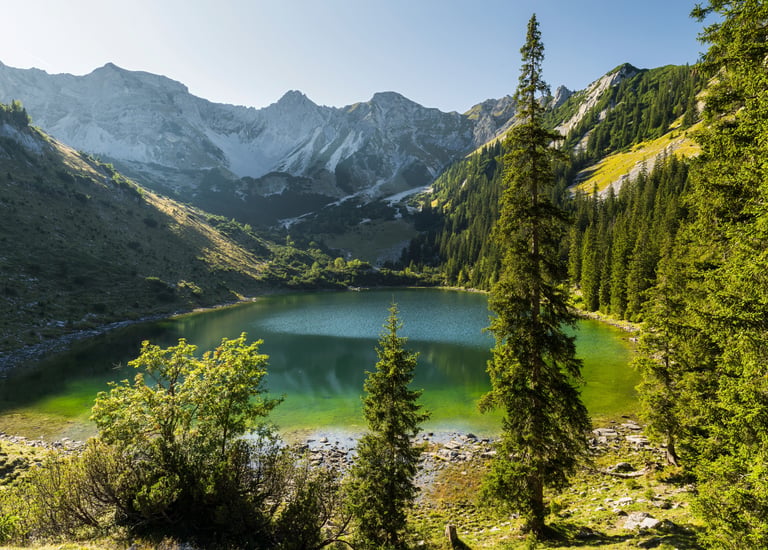 Panoramic view of a turquoise alpine lake surrounded by pine forests and rugged mountain peaks under a clear sky.
