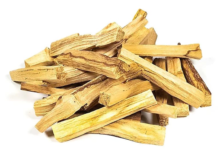 Bois sacré de Palo Santo Pérou