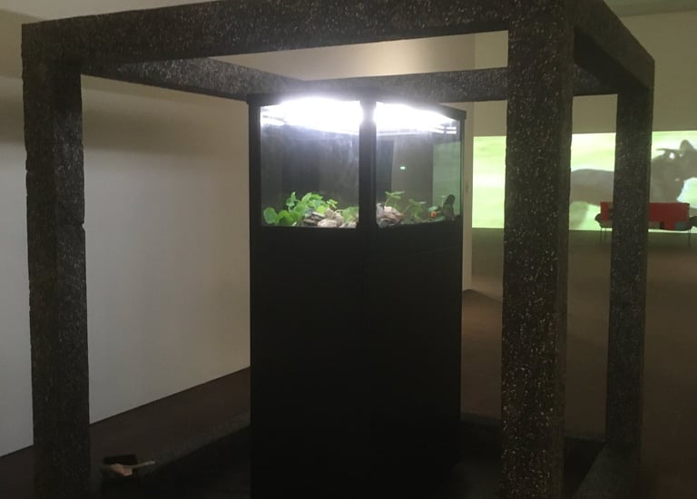 Precious OKOYOMON - Fondation LUMA - Arles