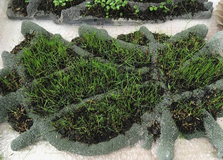 béton végétal et compostable