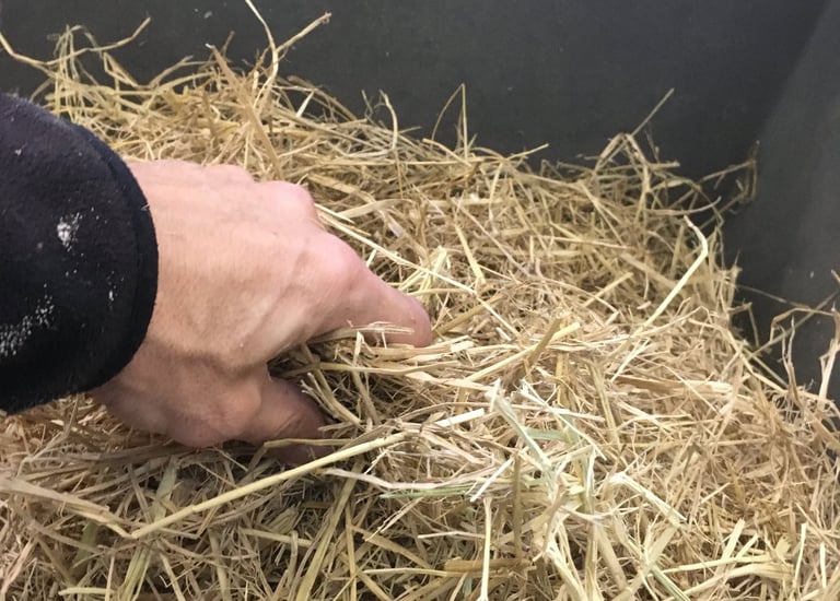 béton de paille, isolation acoustique et phonique