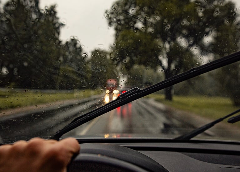 Windshield Seal Replacement