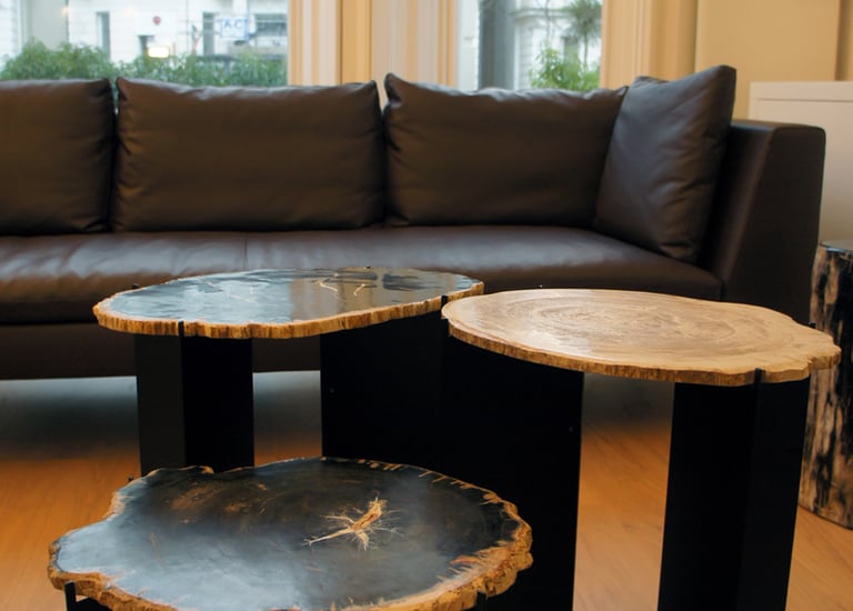Three Petrified Wood Side Tables