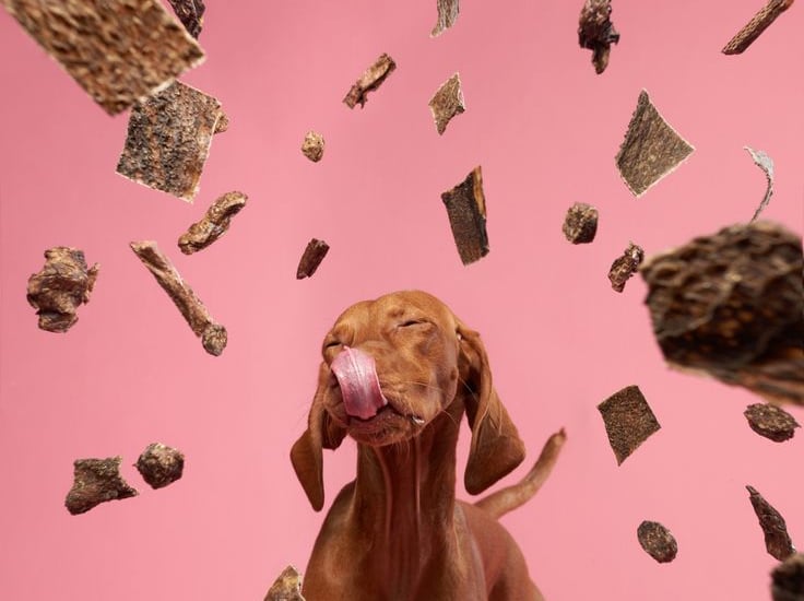 /oem-pet-treats