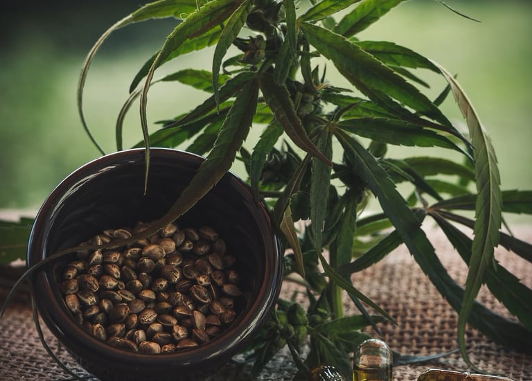 Natural herbal products crafted for wellness and vitality.