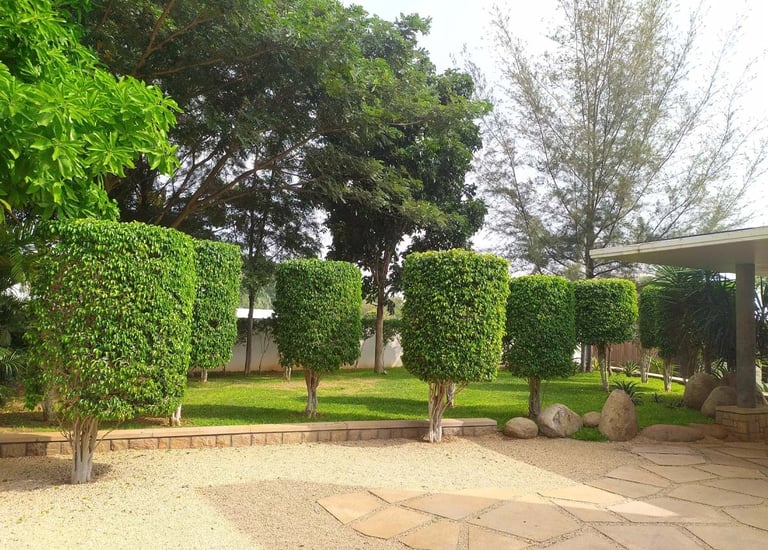 Corporate office landscape with formal green designs and water features by Garden Designers