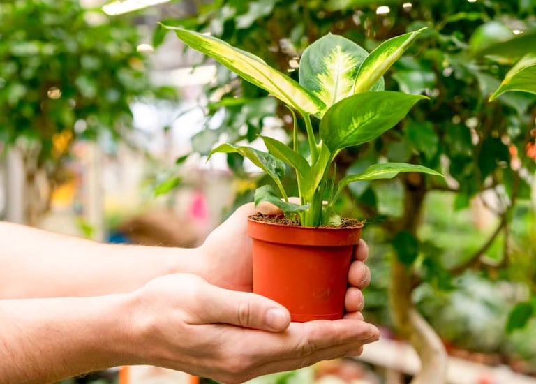 CSR project site transformed with sustainable garden features by Garden Designers