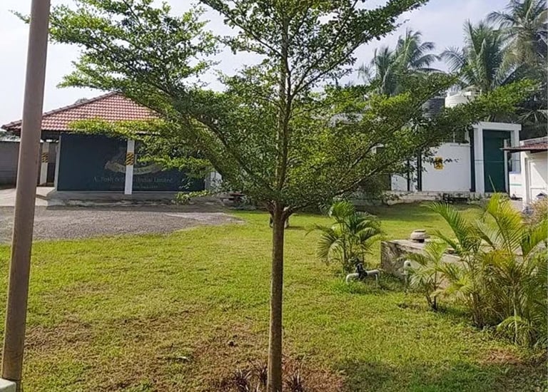 Expansive farmhouse garden with edible plants and serene pathways by Garden Designers