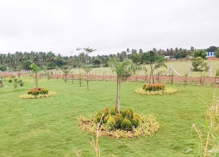 Structured industrial outdoor space with durable green elements by Garden Designers