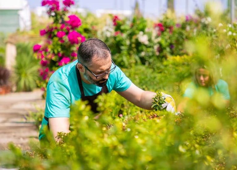 Garden Designers’ professional providing tailored green space solutions during a consultation