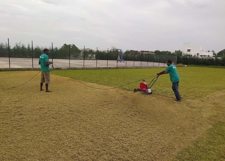 Garden Designers team pruning, mulching, and nurturing plants during landscape maintenance