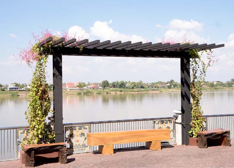 Sleek steel pergola over patio with climbing plants by Garden Designers