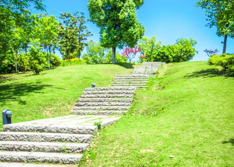 Temple landscape with spiritual garden layout and sacred trees by Garden Designers
