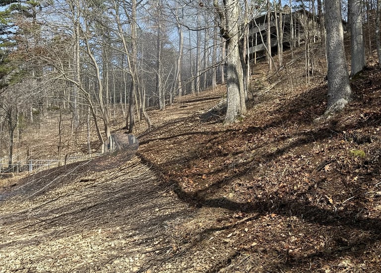 After cleaning damaged from ice storm in Counce, TN Winn Springs Cove