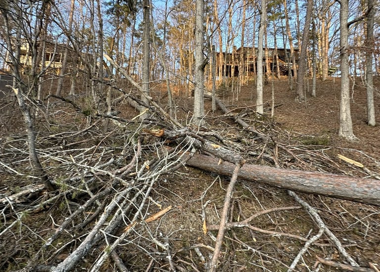 Trees damaged from ice storm in Counce, TN Winn Springs Cove