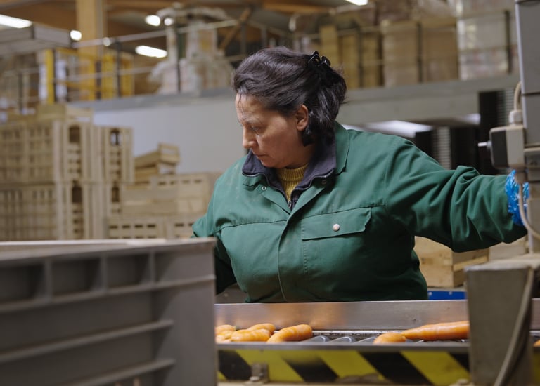 Vidéaste entreprise à Lille en tournage vidéo corporate