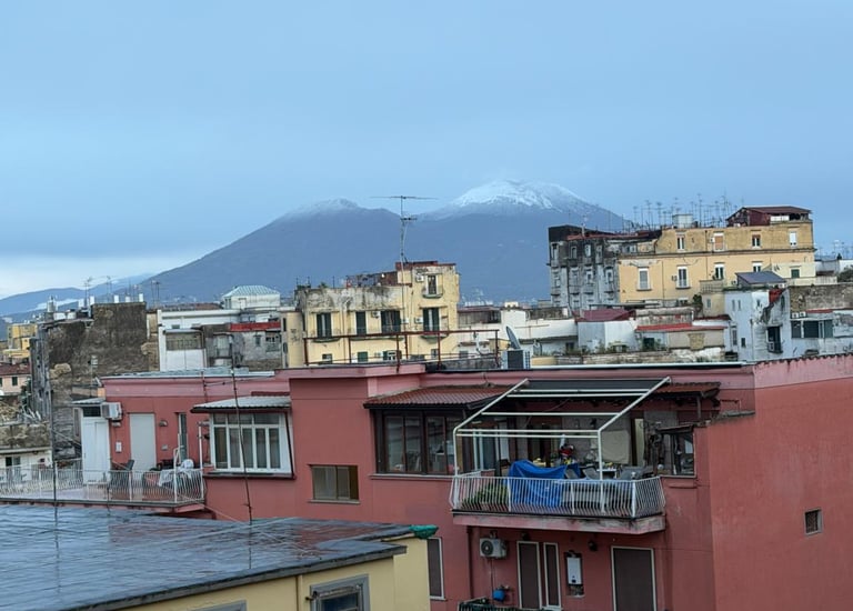 Vesuvio view Napoli