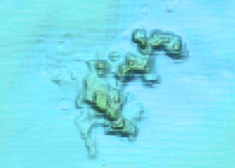 Louisiana Sonar Image