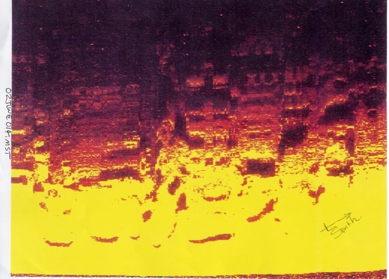 Bimini Sonar Image