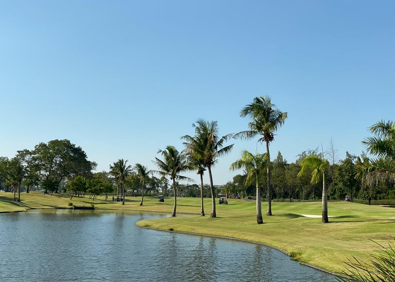a golf course with palm trees and a pond